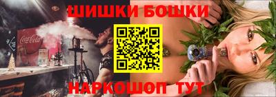 гашик Донской